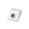 Antsig TV Skirting Board PAL Outlet