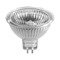 Mirabella Halogen Globe Downlight 35W - 2 Pack