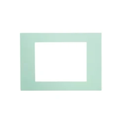 HPM VIVO Coverplate Mint